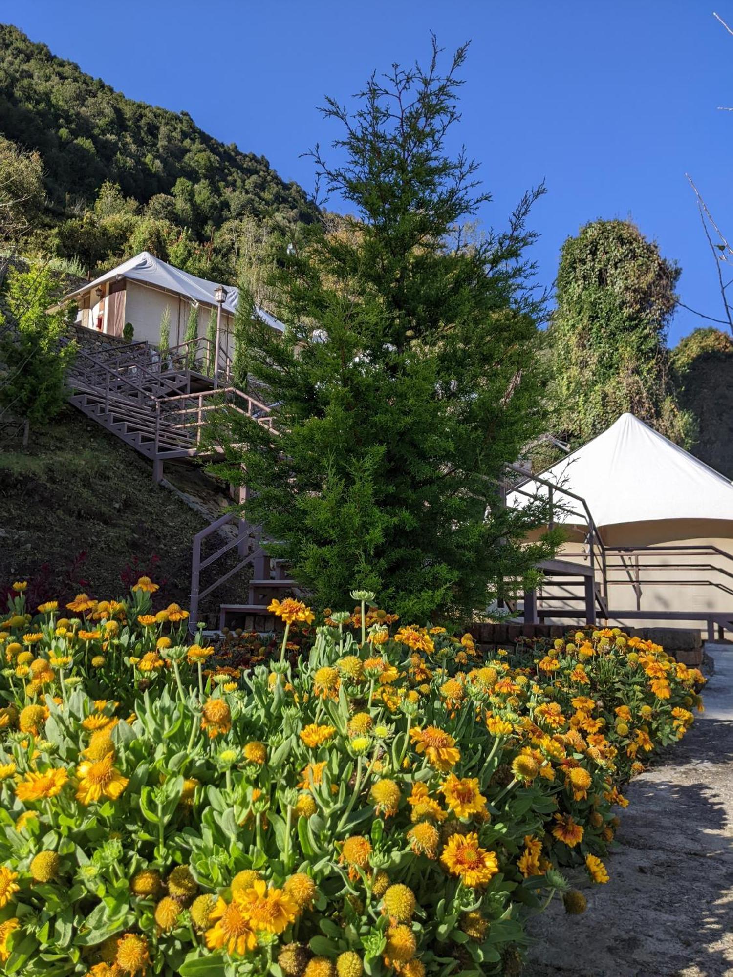 The Bugyal Hotell Kanatal Eksteriør bilde